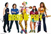 Birds of Prey Poster Pack Group 61 x 91 cm (5)