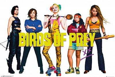 Birds of Prey Poster Pack Group 61 x 91 cm (5)