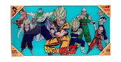 Dragon Ball Z Glass Poster Heroes 30 x 60 cm