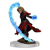 Pathfinder Battles Premium Miniature pre-painted Female Human Wizard Case (6)