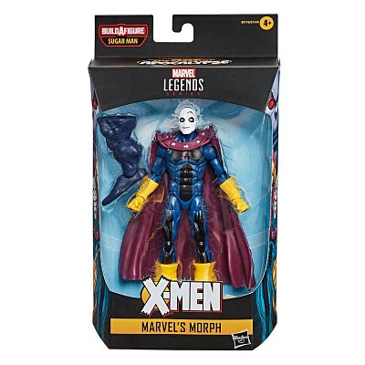 X-Men: Age of Apocalypse Marvel Legends Series Action Figure 2020 Marvel\'s Morph 15 cm